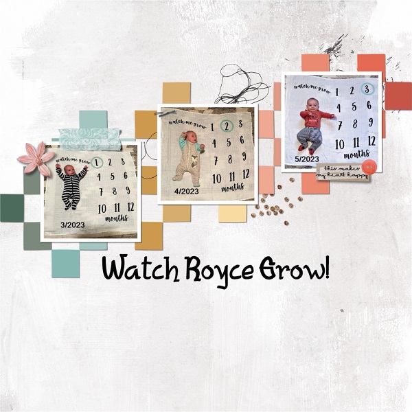 Watch Royce Grow