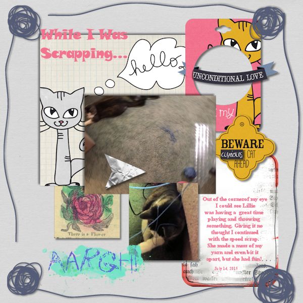Watch the cat when scrapping