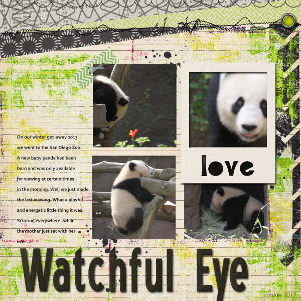 watchful eye