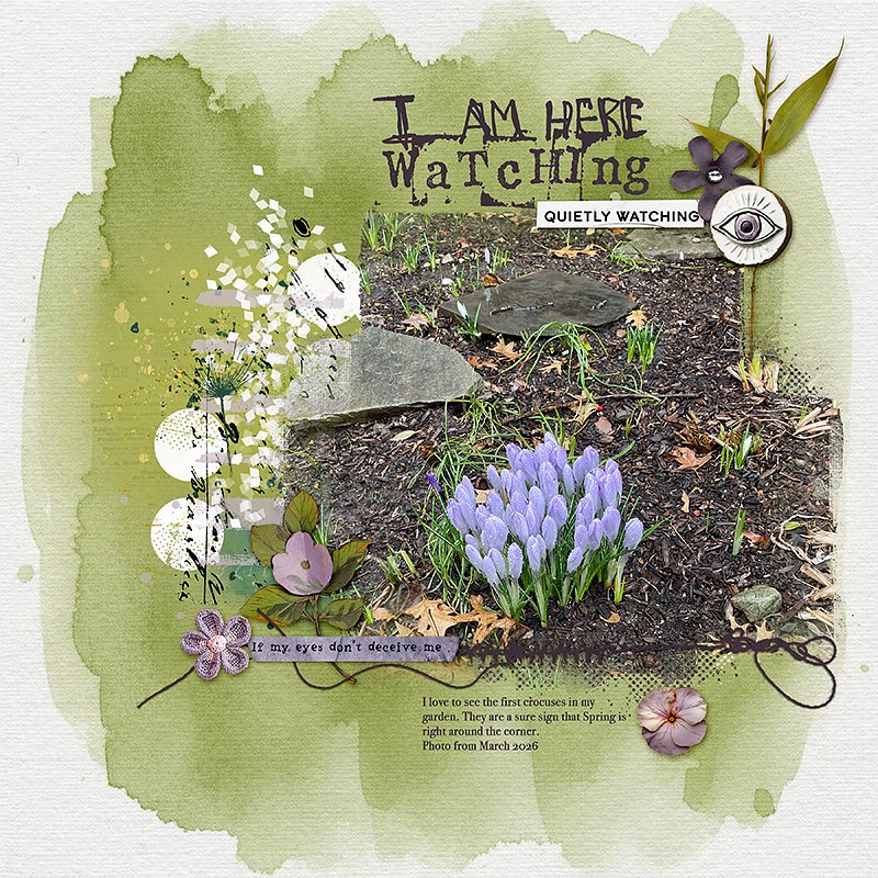 Watching for Signs of Spring
