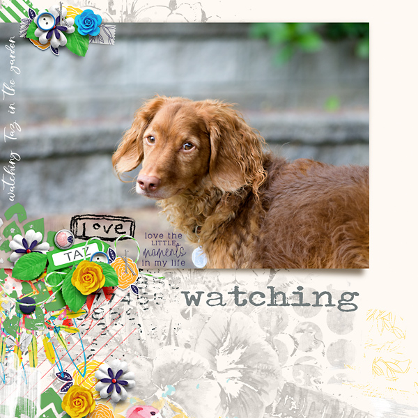 Watching