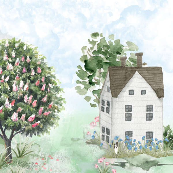 Water-colour-background
