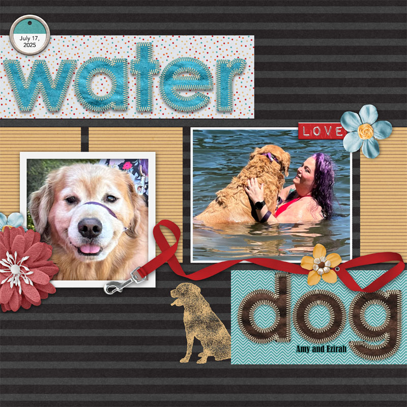 Water Dog 2025.jpg