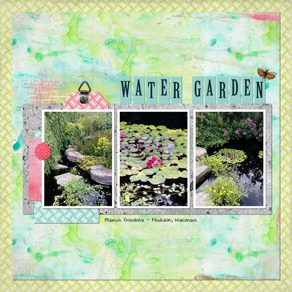 Water Garden