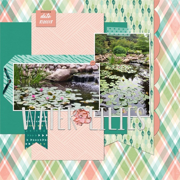 Water Lilies