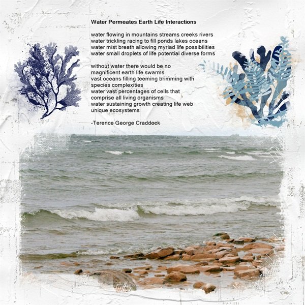 Water Permeates Earth Life Interactions.jpg