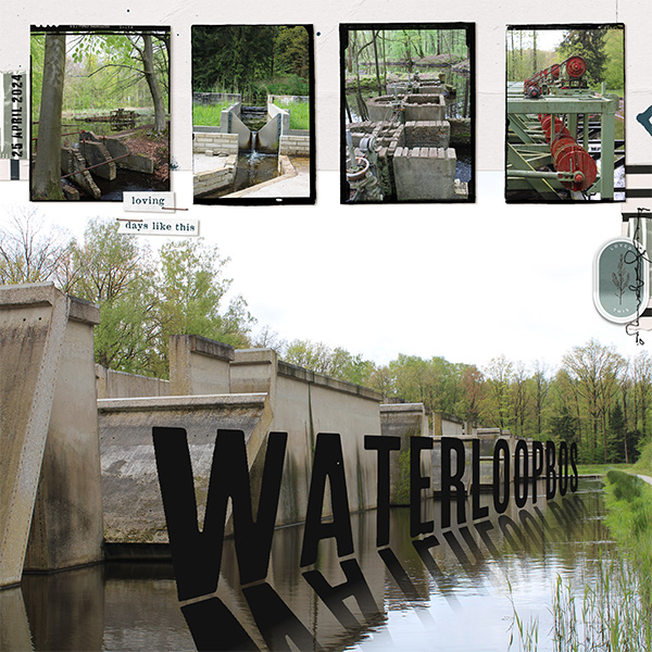 Waterloopbos