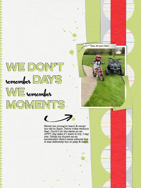 We Don't Remember Days We Remember Moments