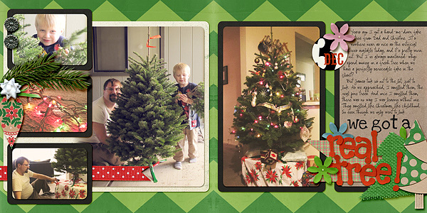 We Got A Real Tree
