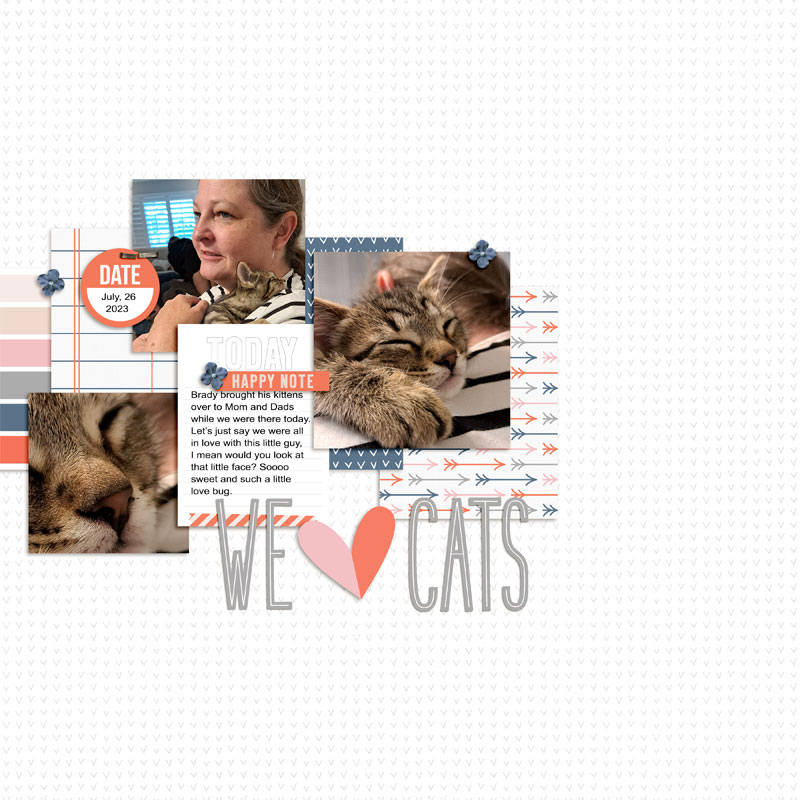 We (HEART) Cats
