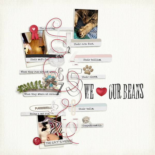 We Love Our Beans