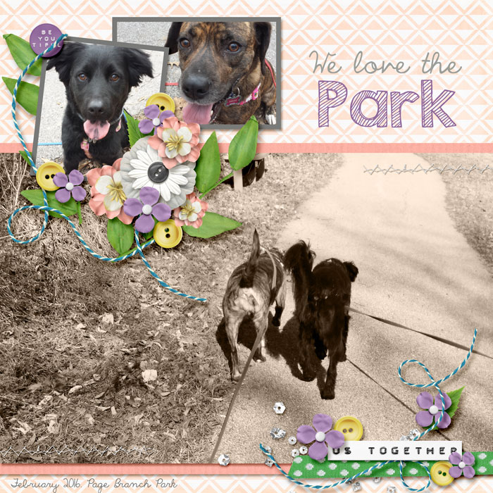We Love the Park