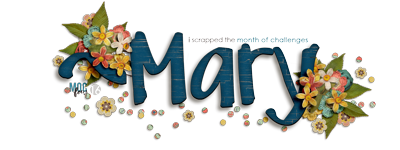 Web-sig-may2016