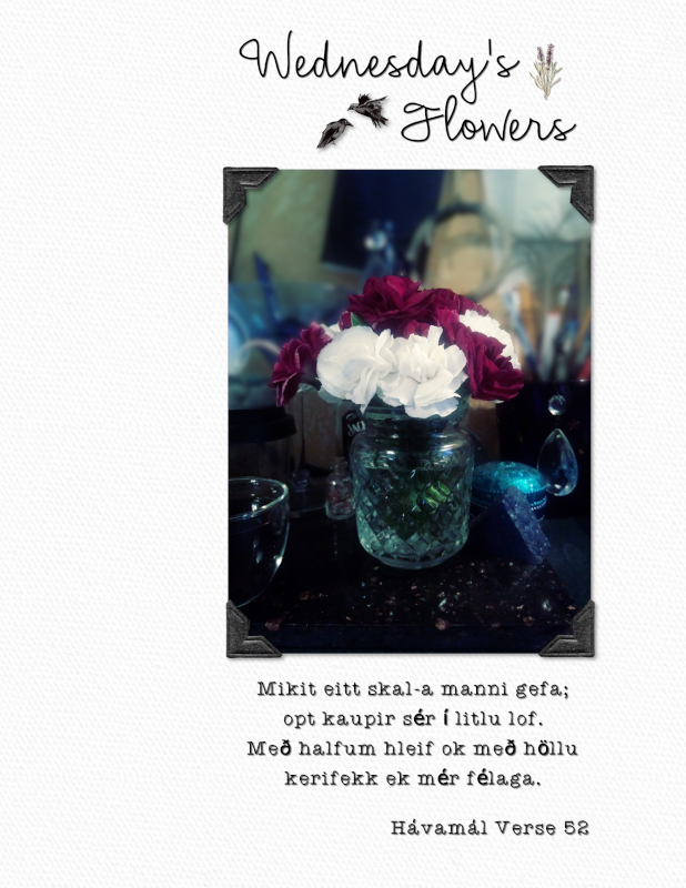 Wednesday's Flowers