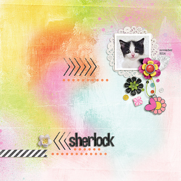 Wee Sherlock