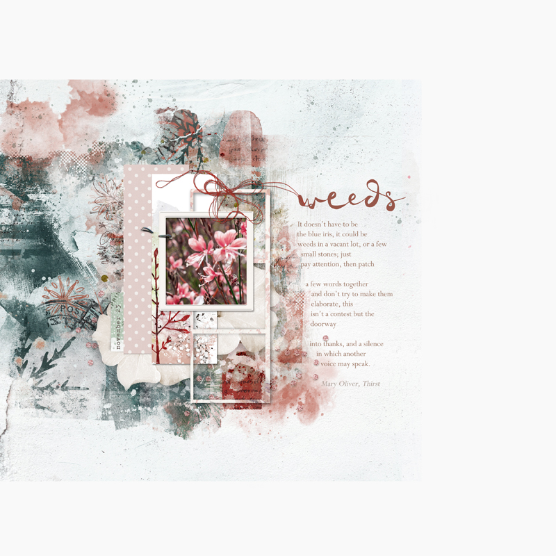 Weeds