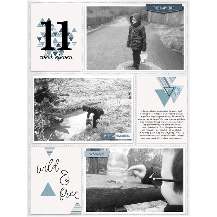 Week 11 - Wild & free