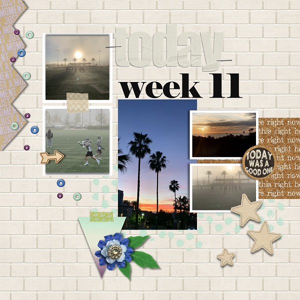 Week 11