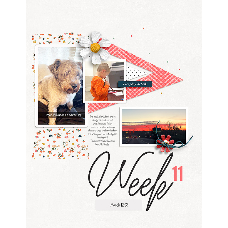 Week-11L