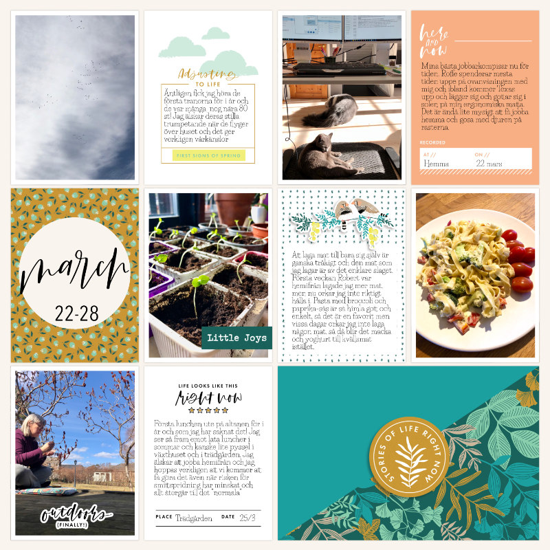 Week 12 2021 a