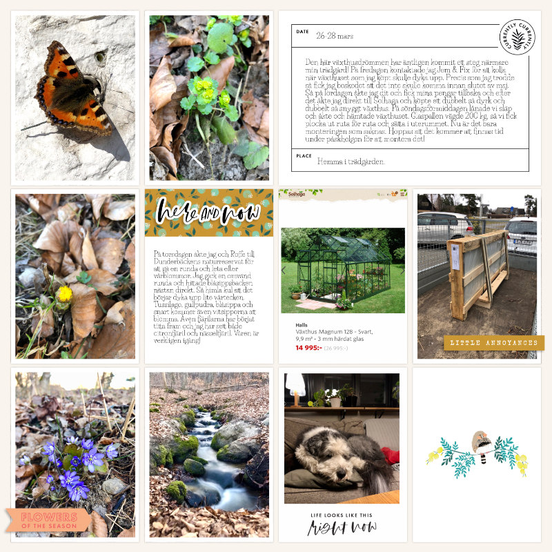 Week 12 2021 b