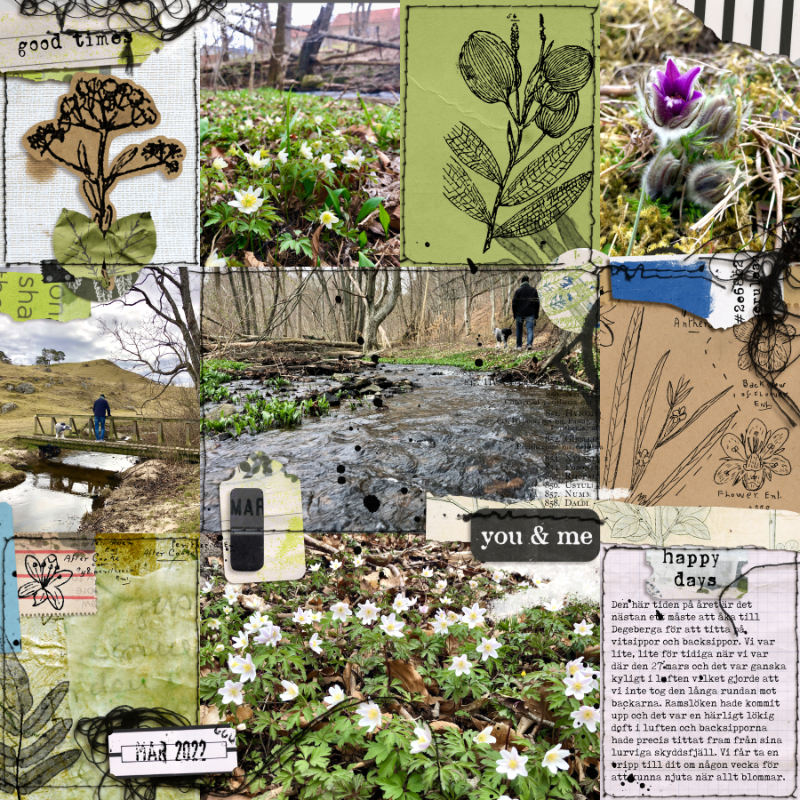Week 12b 2022