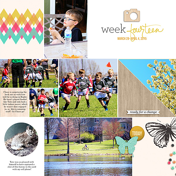 Week-14_-2015_-left