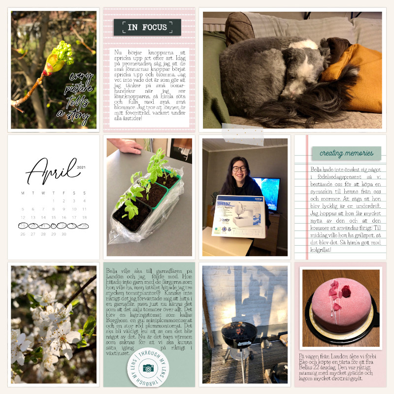 Week 16 2021 a