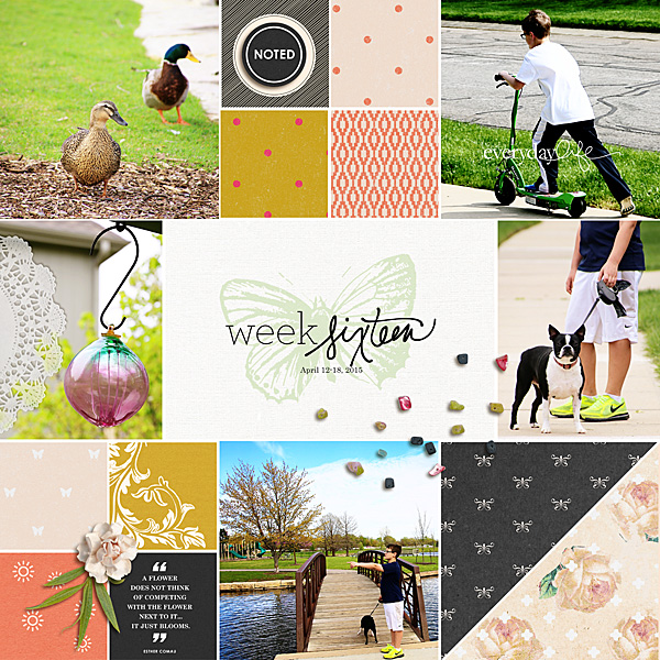 Week-16_-2015_-left