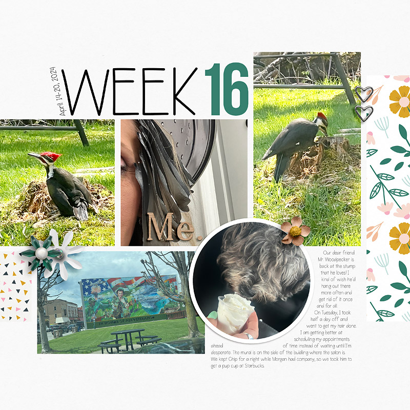 Week-16L