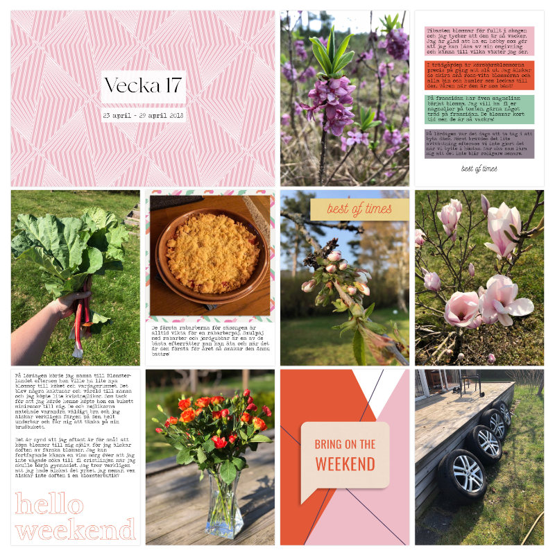 Week 17 2018 a