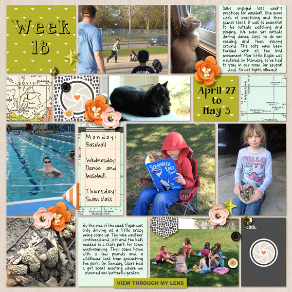 Week 18, 2015