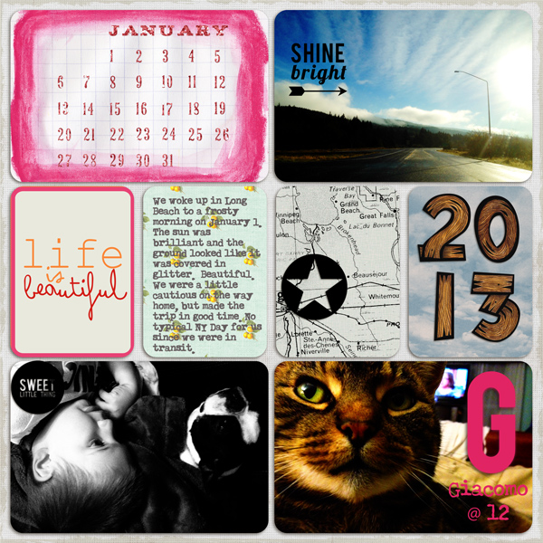 Week 1L - Jan 2013