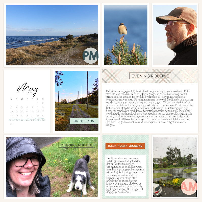 Week 21 2021 a