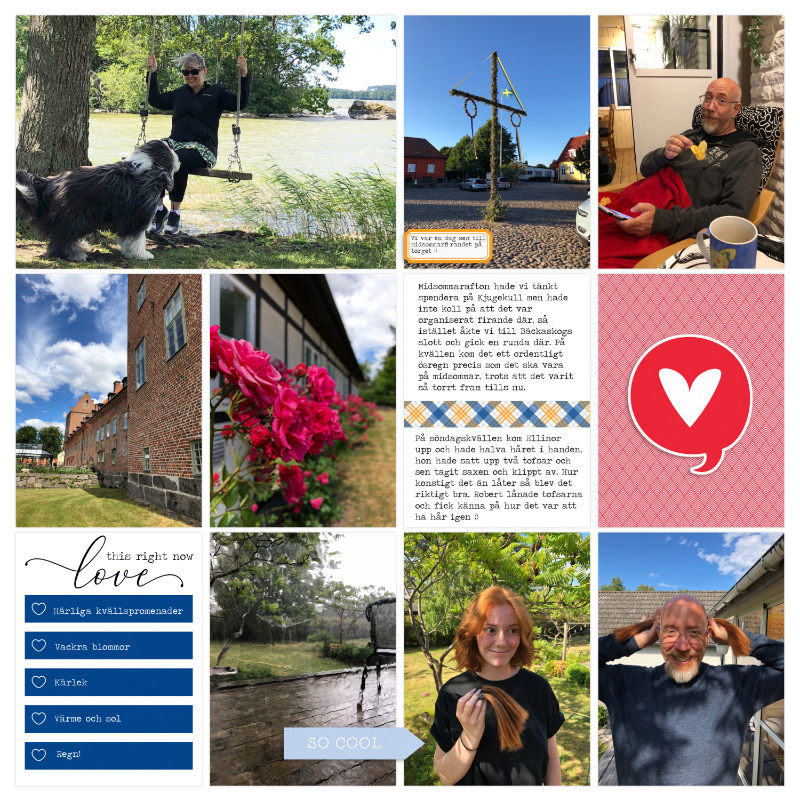 Week 25b 2018