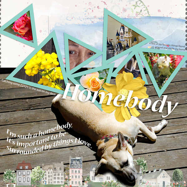 Week 2_homebody