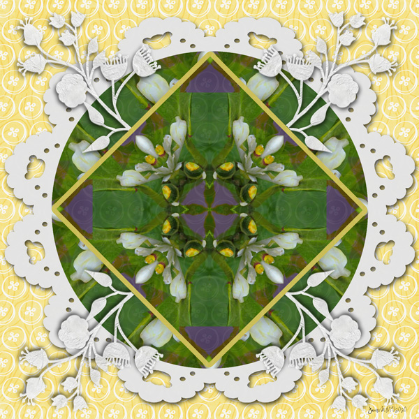 Week 3 Flora