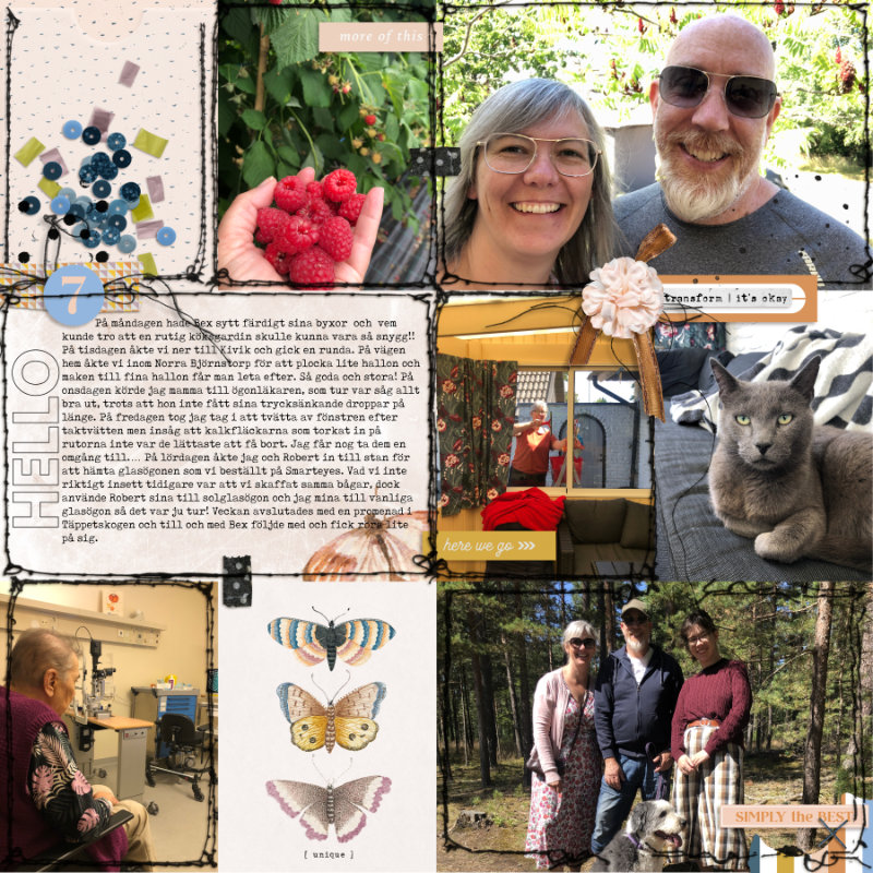 Week 30 b 2022