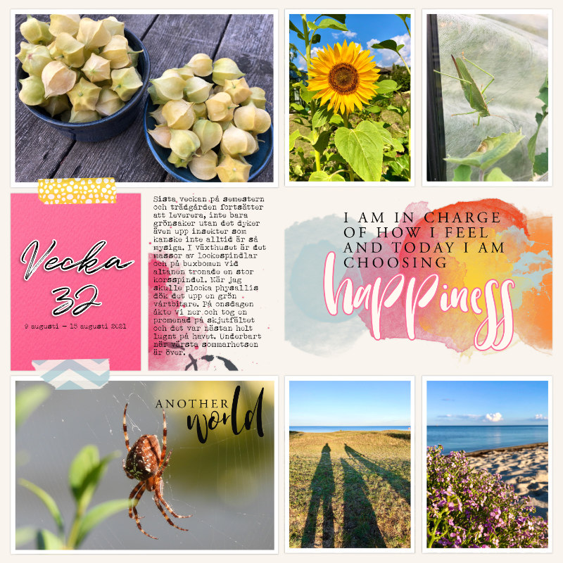 Week 32 2021 a