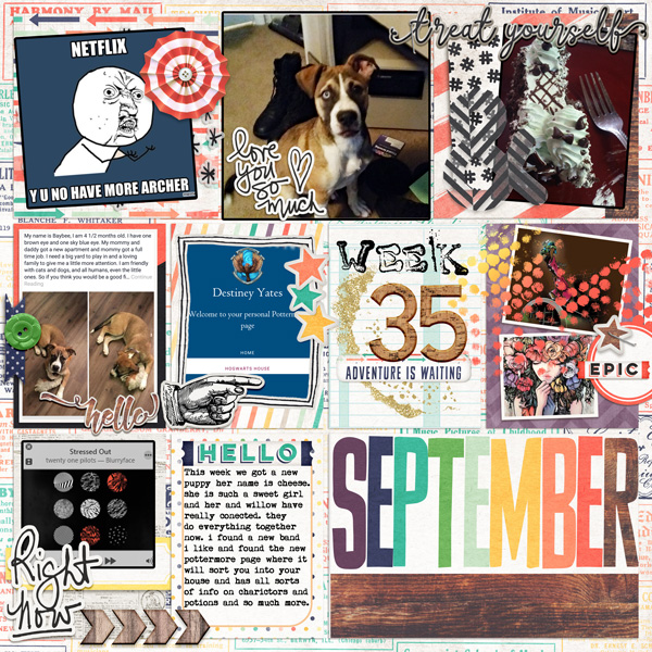 Week-35-sep-5-11