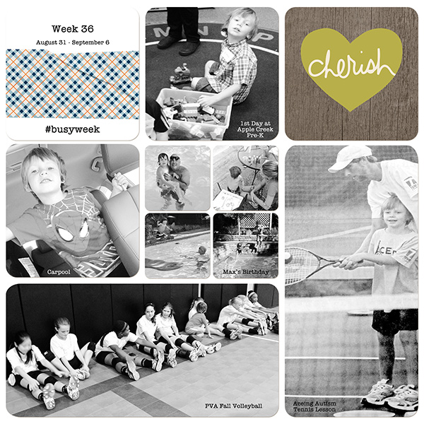 Week 36 - Project Life