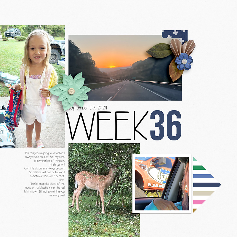 Week-36L
