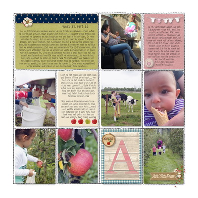 week 37-3