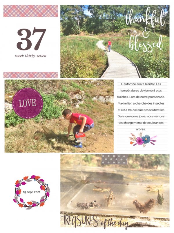 Week 37 Autumn treasures