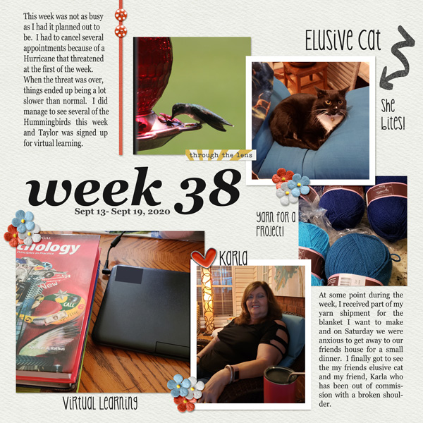 Week-38