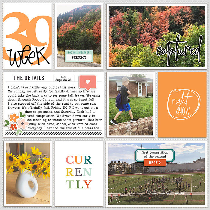 week 39