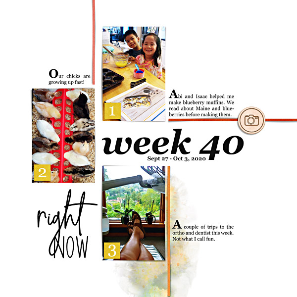 Week 40 {left}