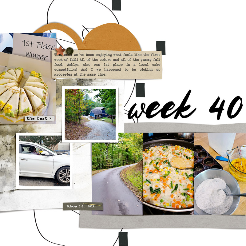 Week 40 {left}
