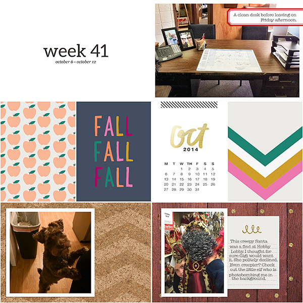Week 41