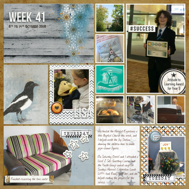 Week 41